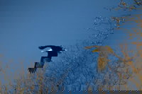 Book Cities Accommodation Vacations, Accommodation Rooms Accommodation Rooms