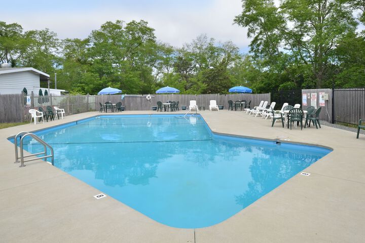 Blue Dolphin Inn - thumb 5