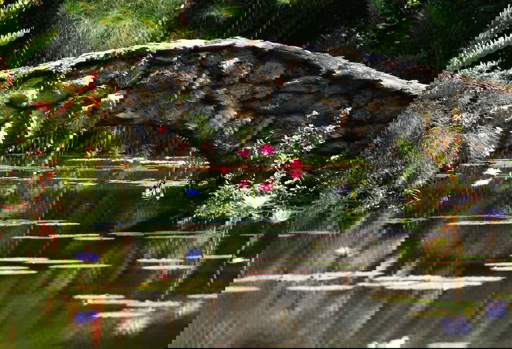 Country Inn & Suites By Radisson, Vero Beach-I-95, FL - thumb 0