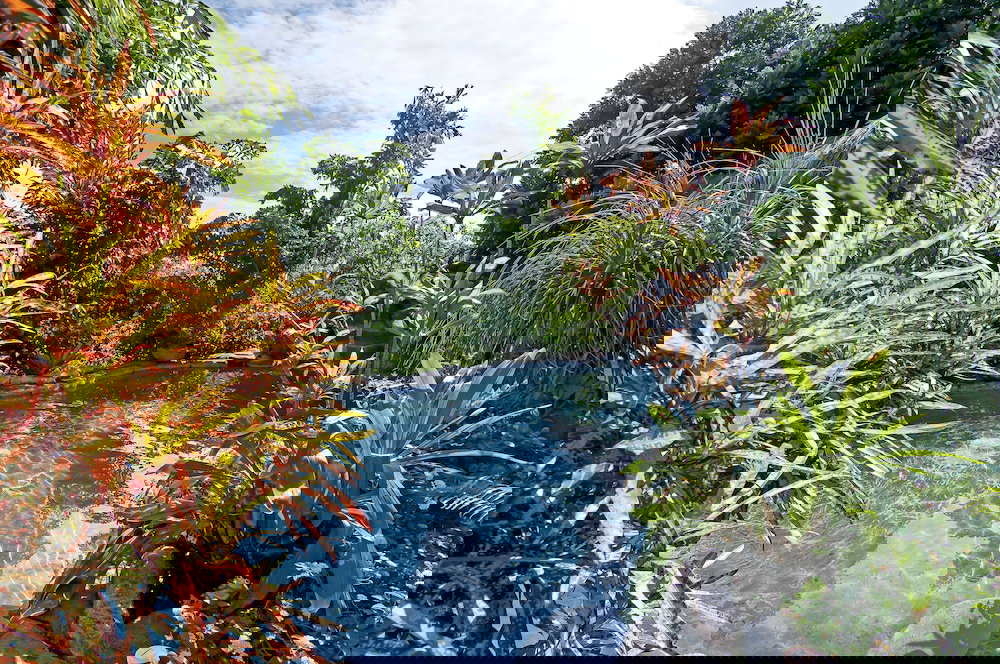 Manoa Valley Inn - thumb 3