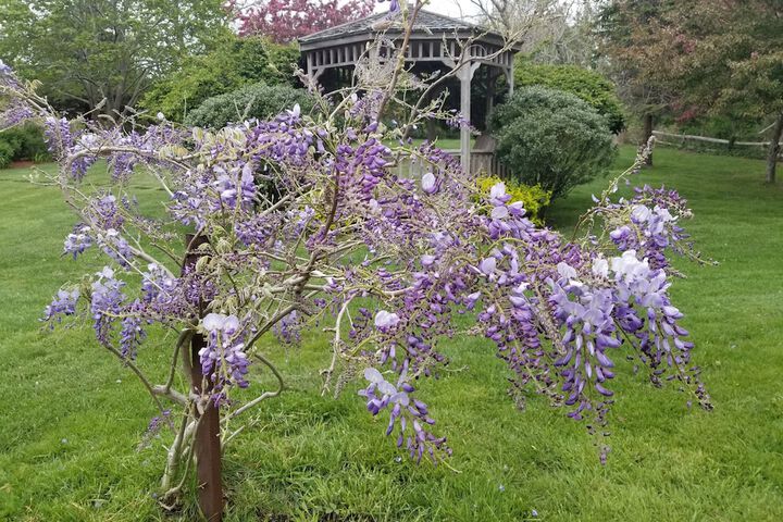 The Whalewalk Inn & Spa - thumb 4