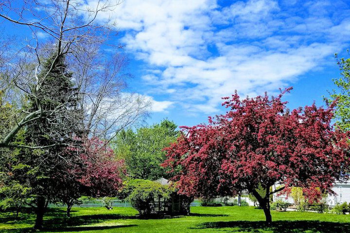 The Whalewalk Inn & Spa - thumb 2