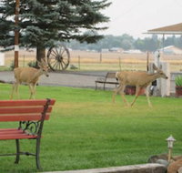 Rim Rock Motel - Accommodation Rooms