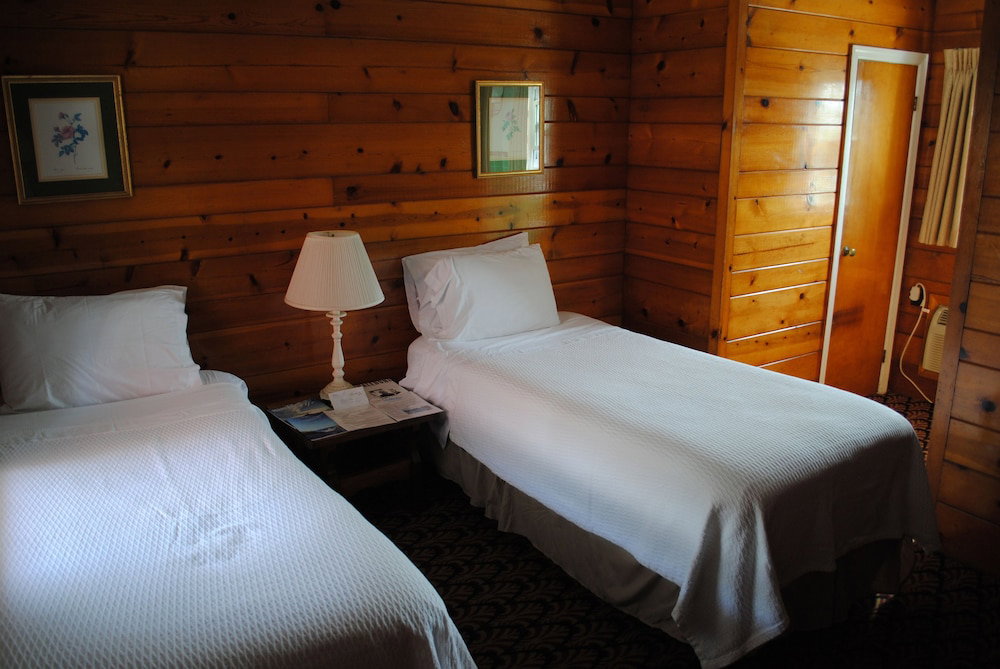 Daunt's Albatross Motel - thumb 3