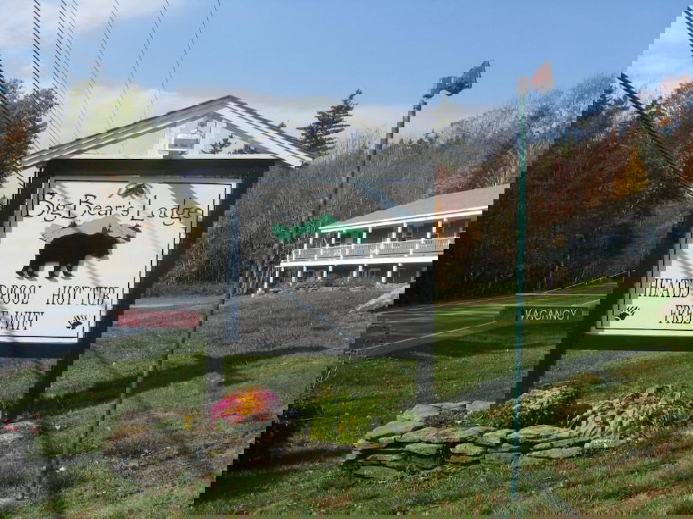 Big Bears Lodge - thumb 3