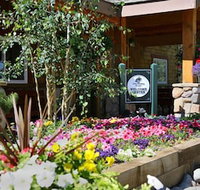 Swan Mountain Resort - Accommodation Rooms