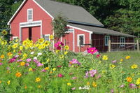 Book Cities Accommodation Vacations, Accommodation Rooms Accommodation Rooms