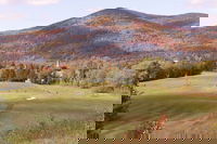 Book Cities Accommodation Vacations, Accommodation Rooms Accommodation Rooms