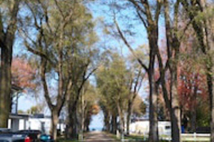 Plantation Motel - thumb 0