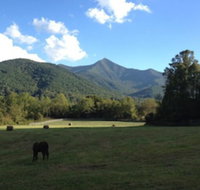 Pisgah View Ranch - Accommodation Rooms