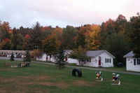 Carroll Motel  Cottages