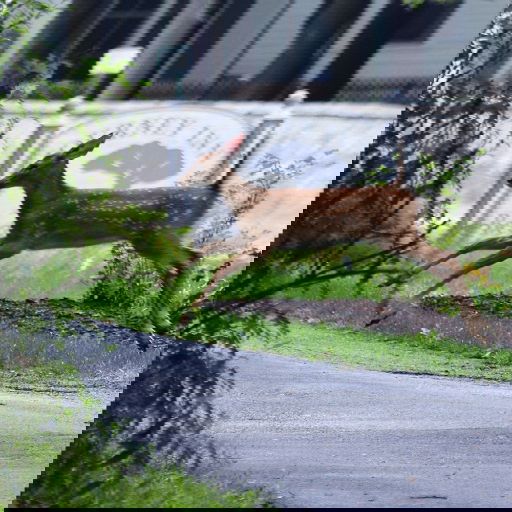 Journey Inn Bed & Breakfast - thumb 0