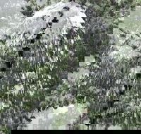 East Hampton Art House Bed  Breakfast - Accommodation Rooms