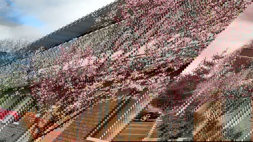 Affordable Corporate Suites Christiansburg - thumb 0