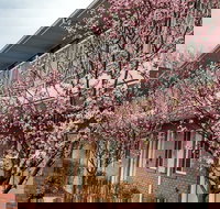 Affordable Corporate Suites Christiansburg - Accommodation Rooms