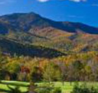 Mt Mitchell Cabin Rentals - Accommodation Rooms