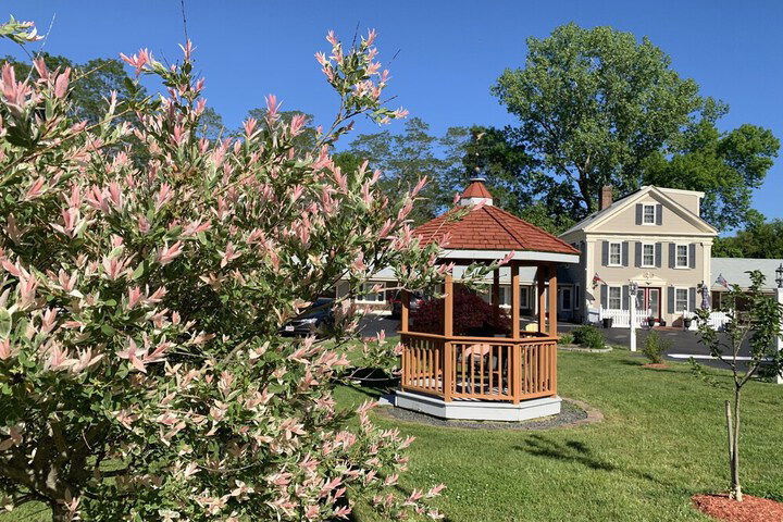 Eagle Wing Inn - Cape Cod - thumb 3