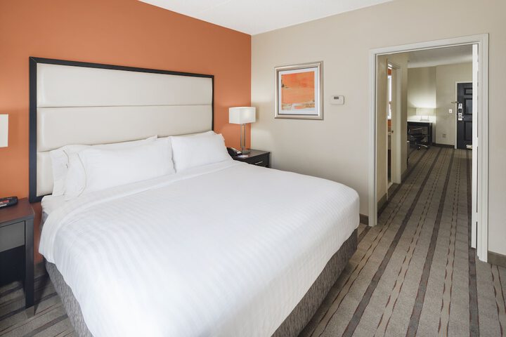 Holiday Inn Express & Suites Atlanta NE - Duluth, An IHG Hotel - thumb 7