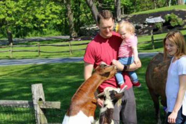 Rocky Acre Farm Bed & Breakfast - thumb 3