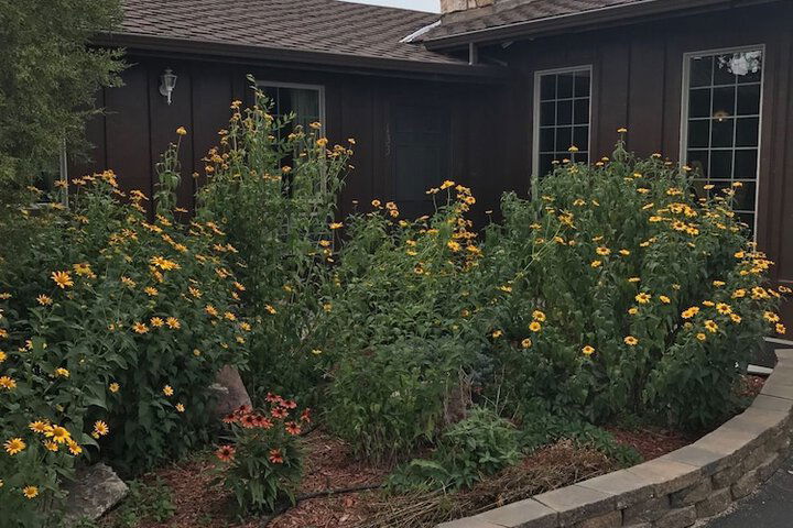 Bunkhouse Motel - thumb 2