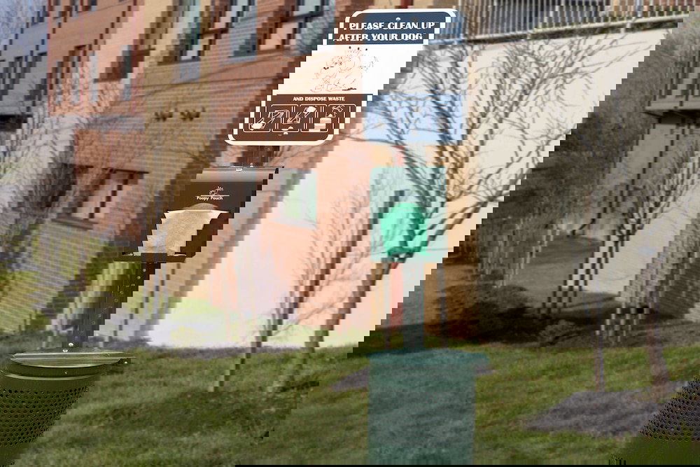 TownePlace Suites By Marriott College Park - thumb 0