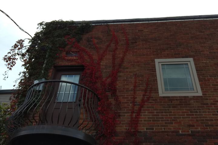 The Vintage Inn Bed & Breakfast - thumb 1