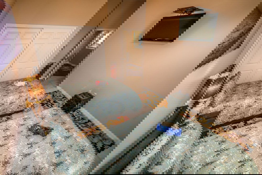 244 Flamingo - thumb 3