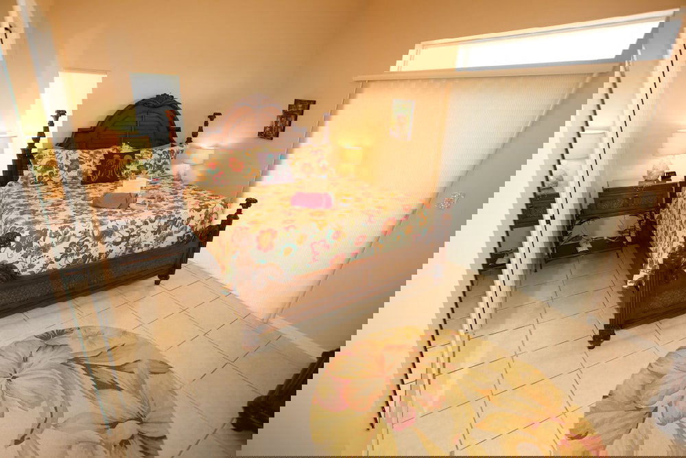 244 Flamingo - thumb 4