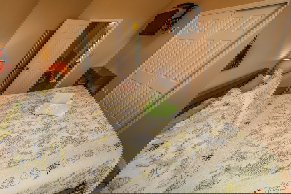 244 Flamingo - thumb 6