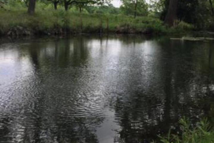 Cliff House - thumb 4