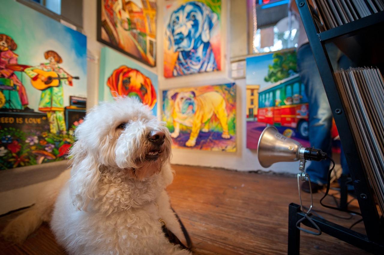 The Thunderbird Inn - thumb 13