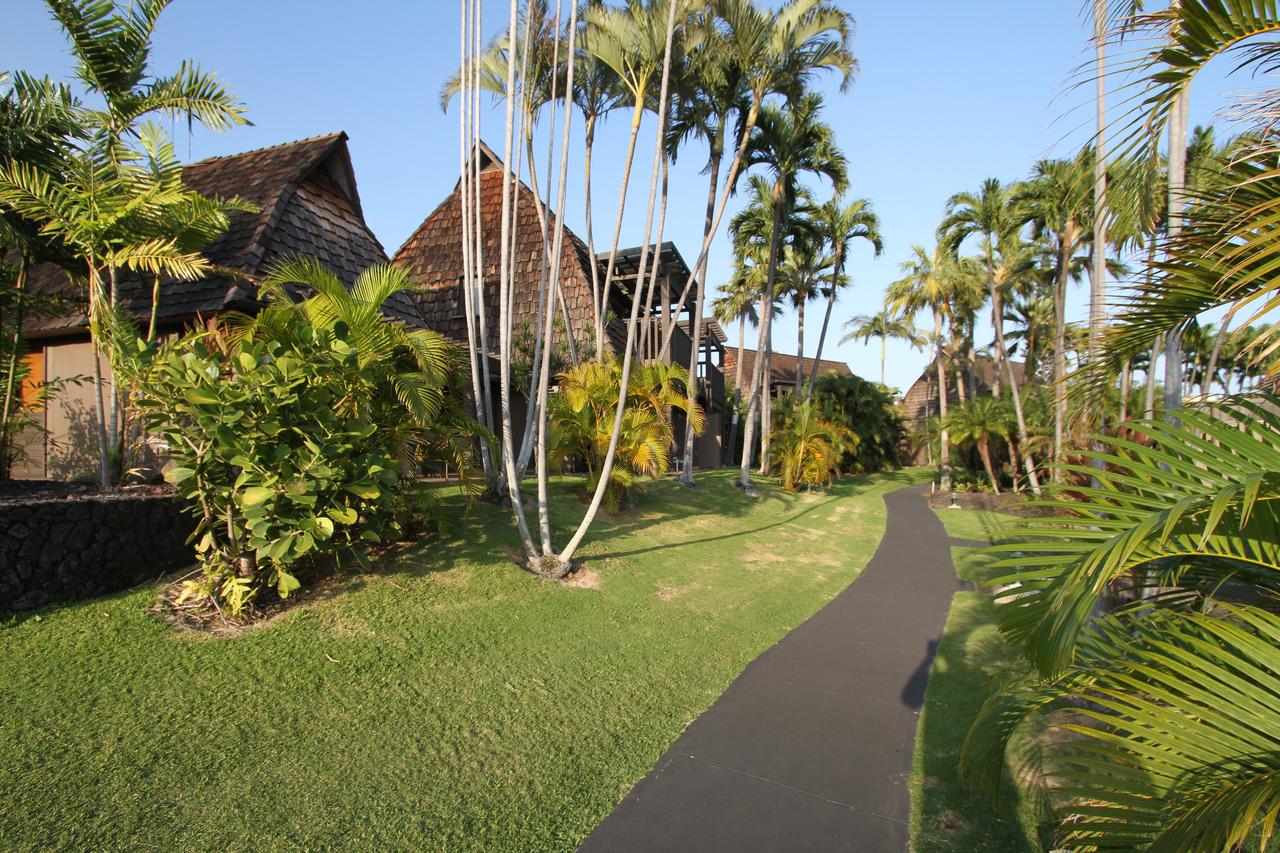 Sea Mountain - thumb 14