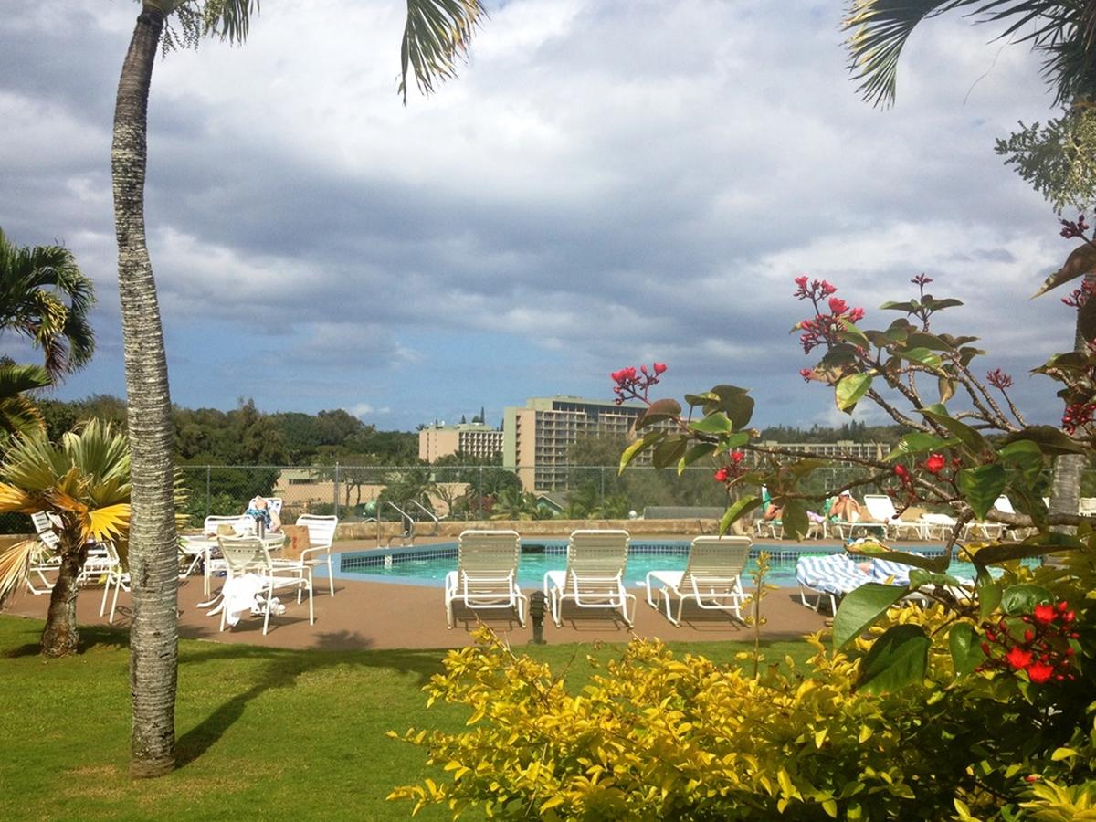 Banyan Harbor - thumb 4