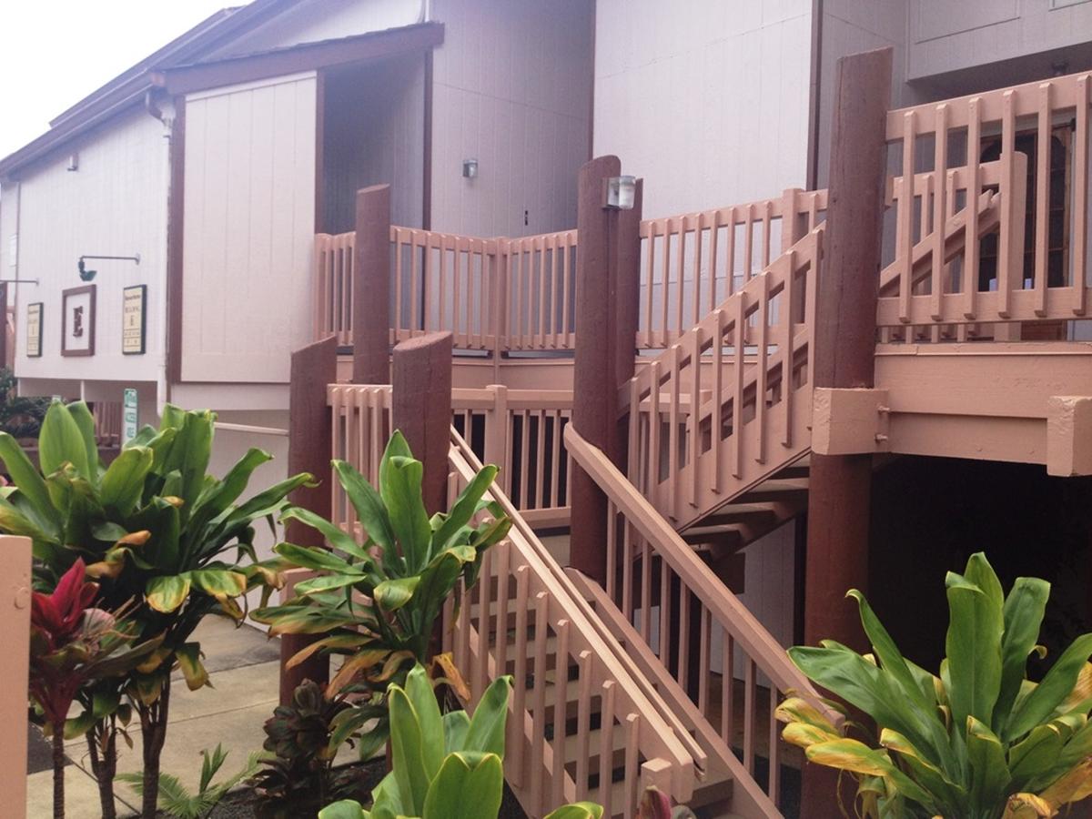 Banyan Harbor - thumb 25