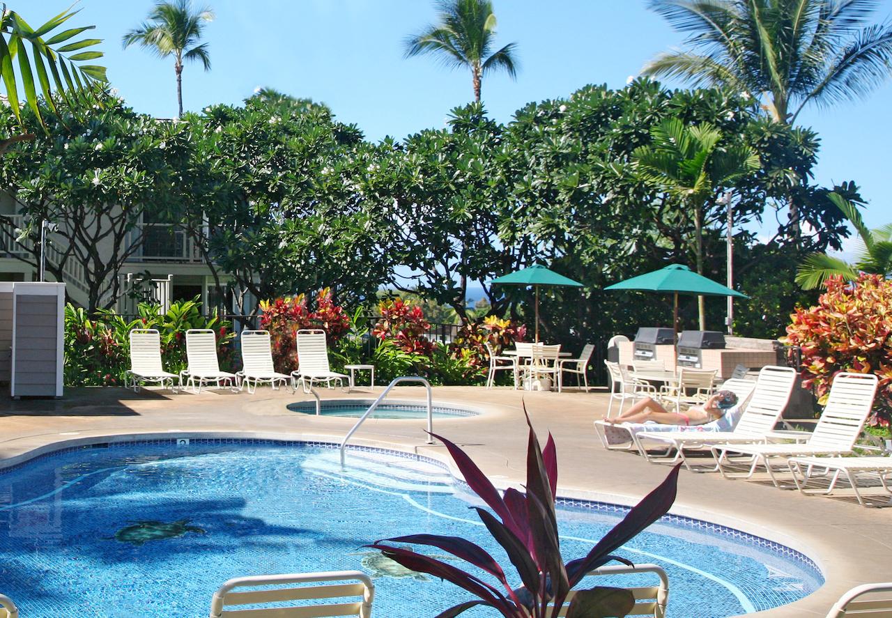 Wailea Grand Champions, A Destination Residence - thumb 14