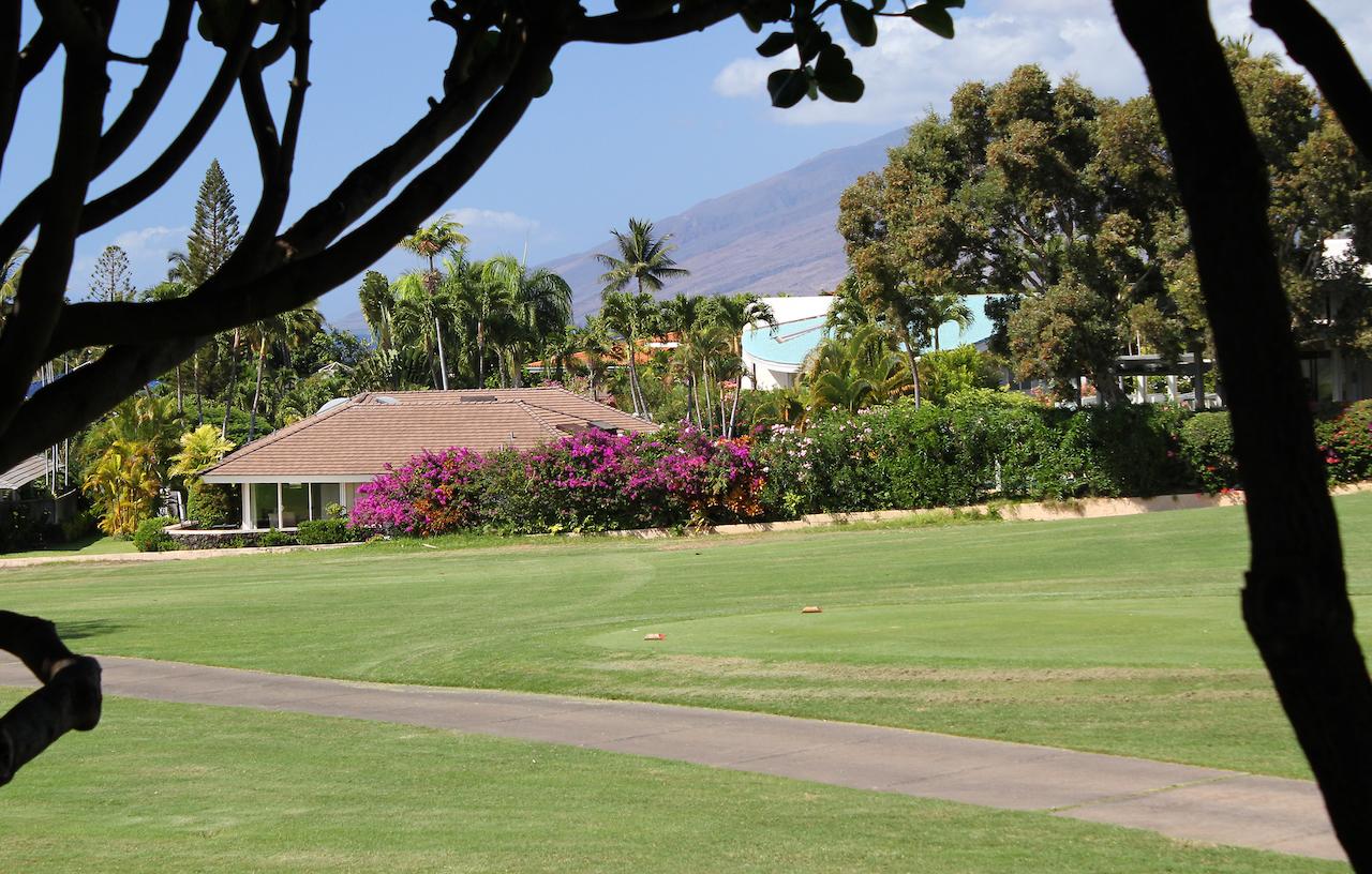 Wailea Grand Champions, A Destination Residence - thumb 21