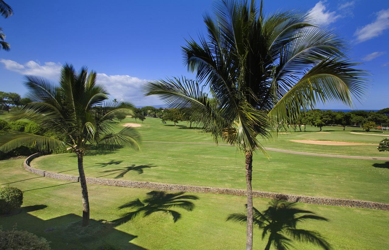 Wailea Grand Champions, A Destination Residence - thumb 13