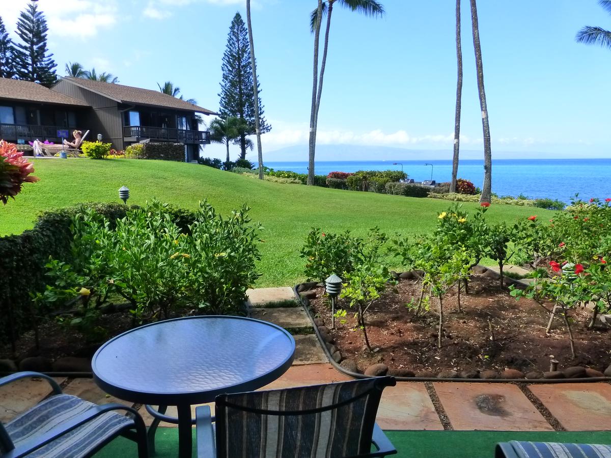 Mahina Surf - thumb 23