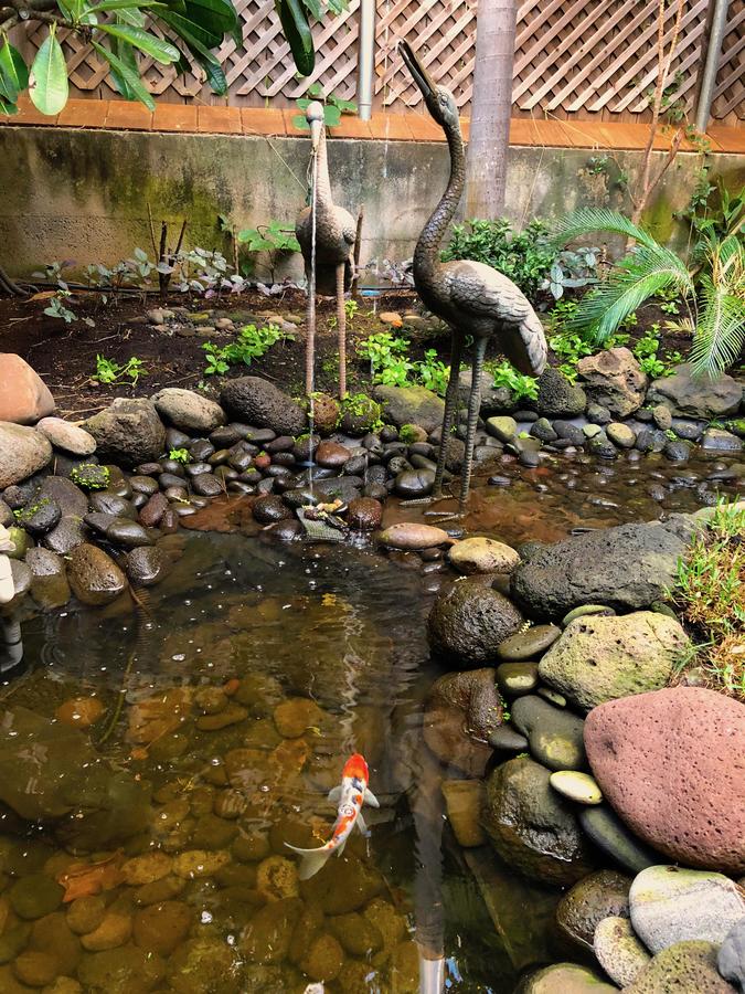 The Kulani Maui - thumb 17