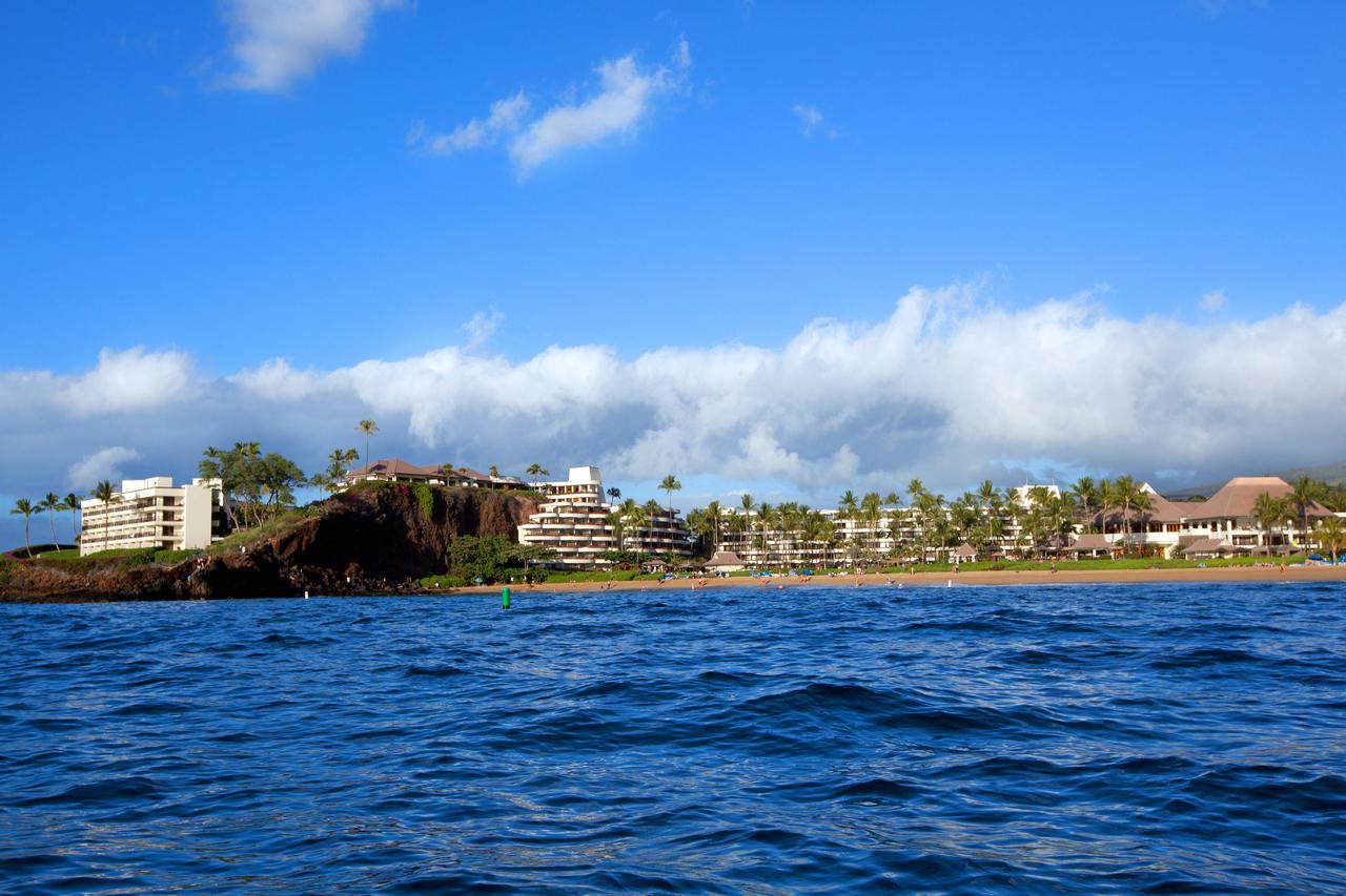 Sheraton Maui Resort & Spa - thumb 9