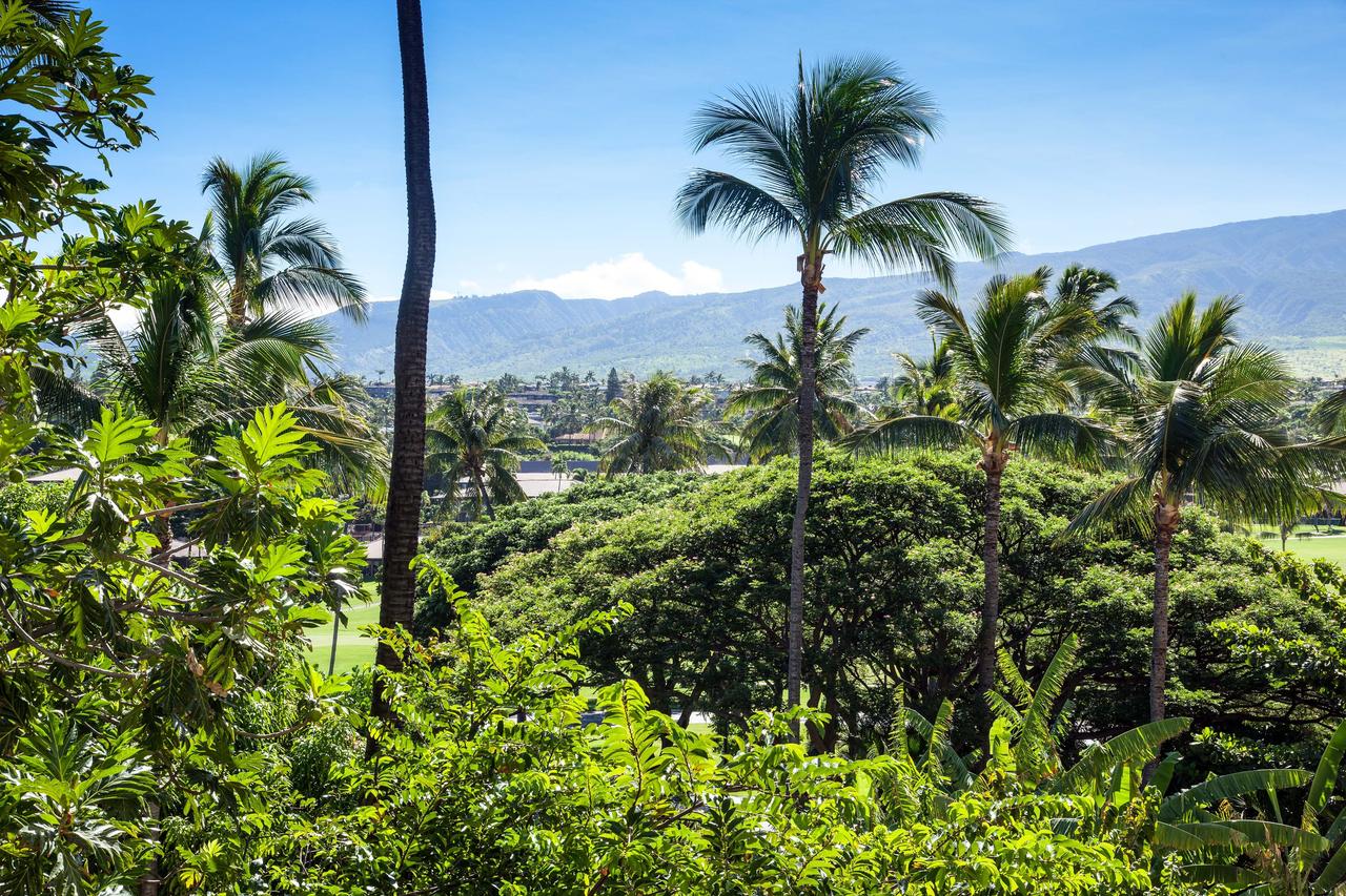 Sheraton Maui Resort & Spa - thumb 15