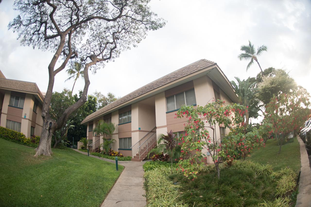 Maui Vista - thumb 11