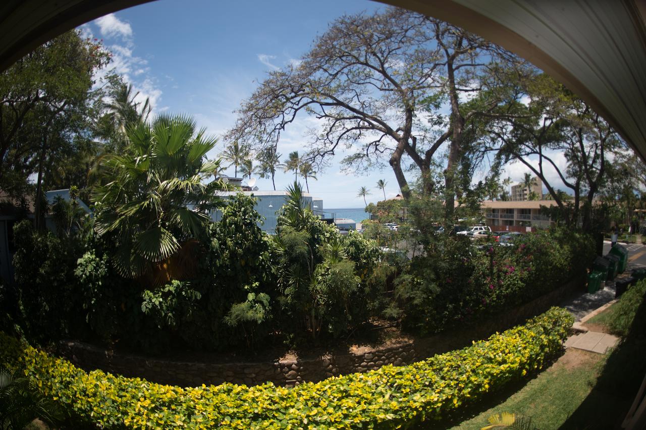 Maui Vista - thumb 21