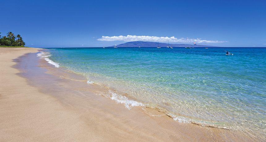 Maui Vista - thumb 10