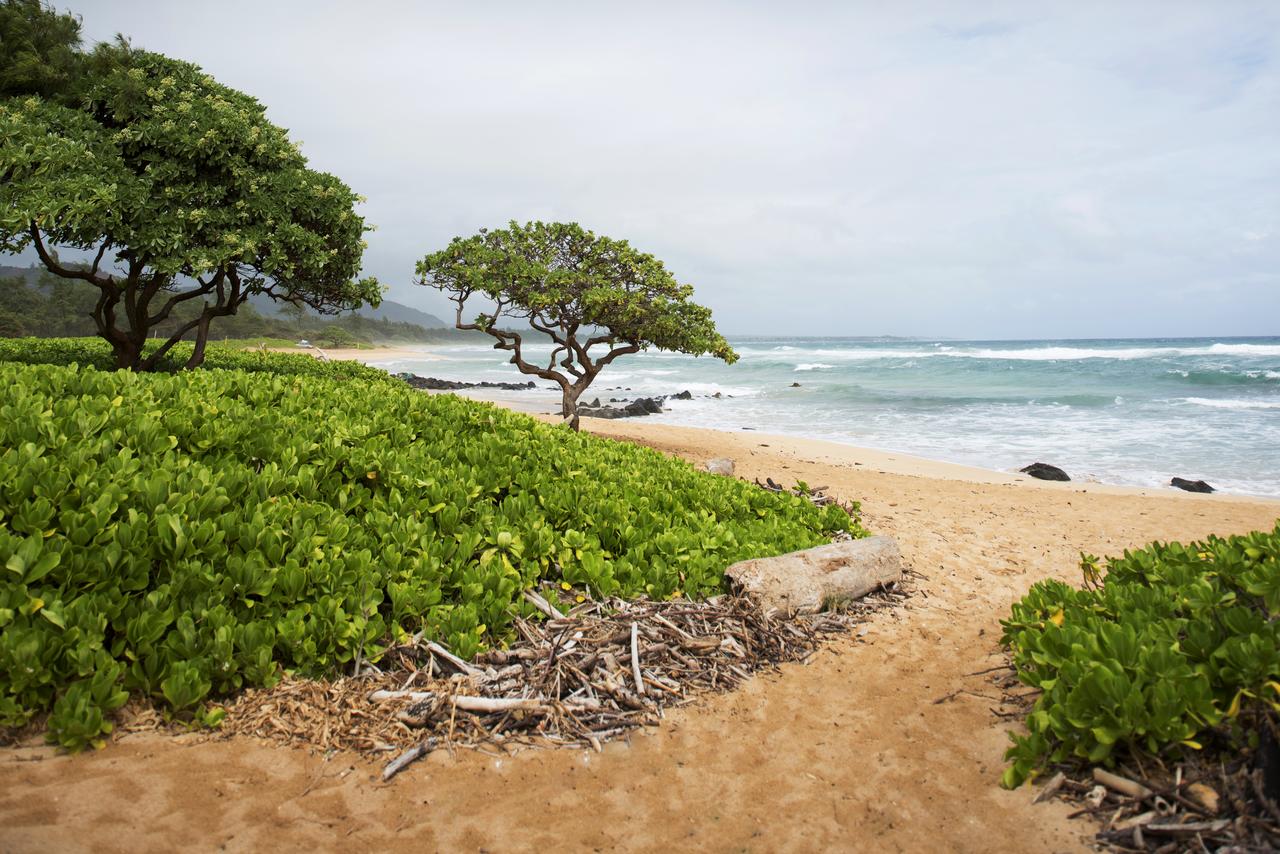 Kauai Beach Villas - thumb 13