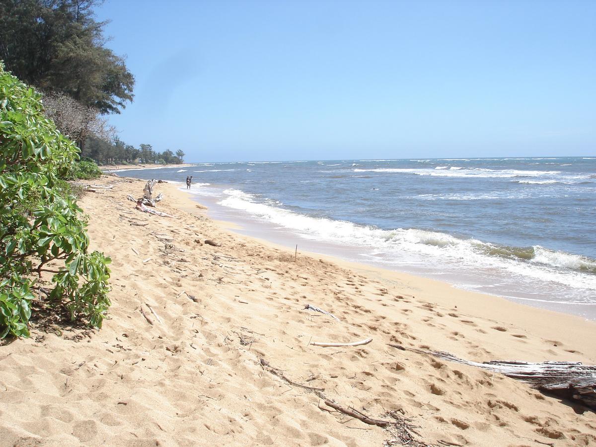 Islander On The Beach Unit 256 - thumb 11