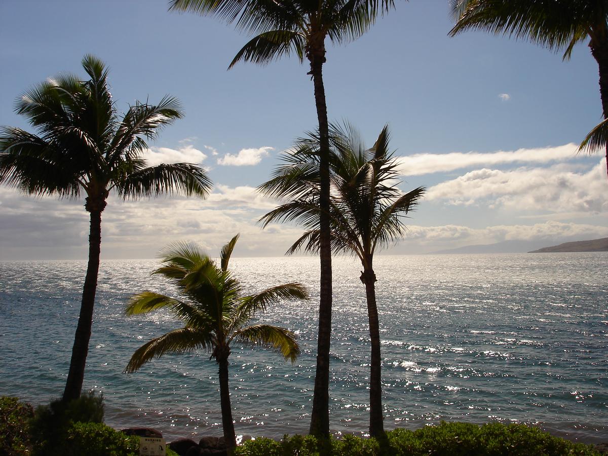 Islander On The Beach Unit 256 - thumb 20