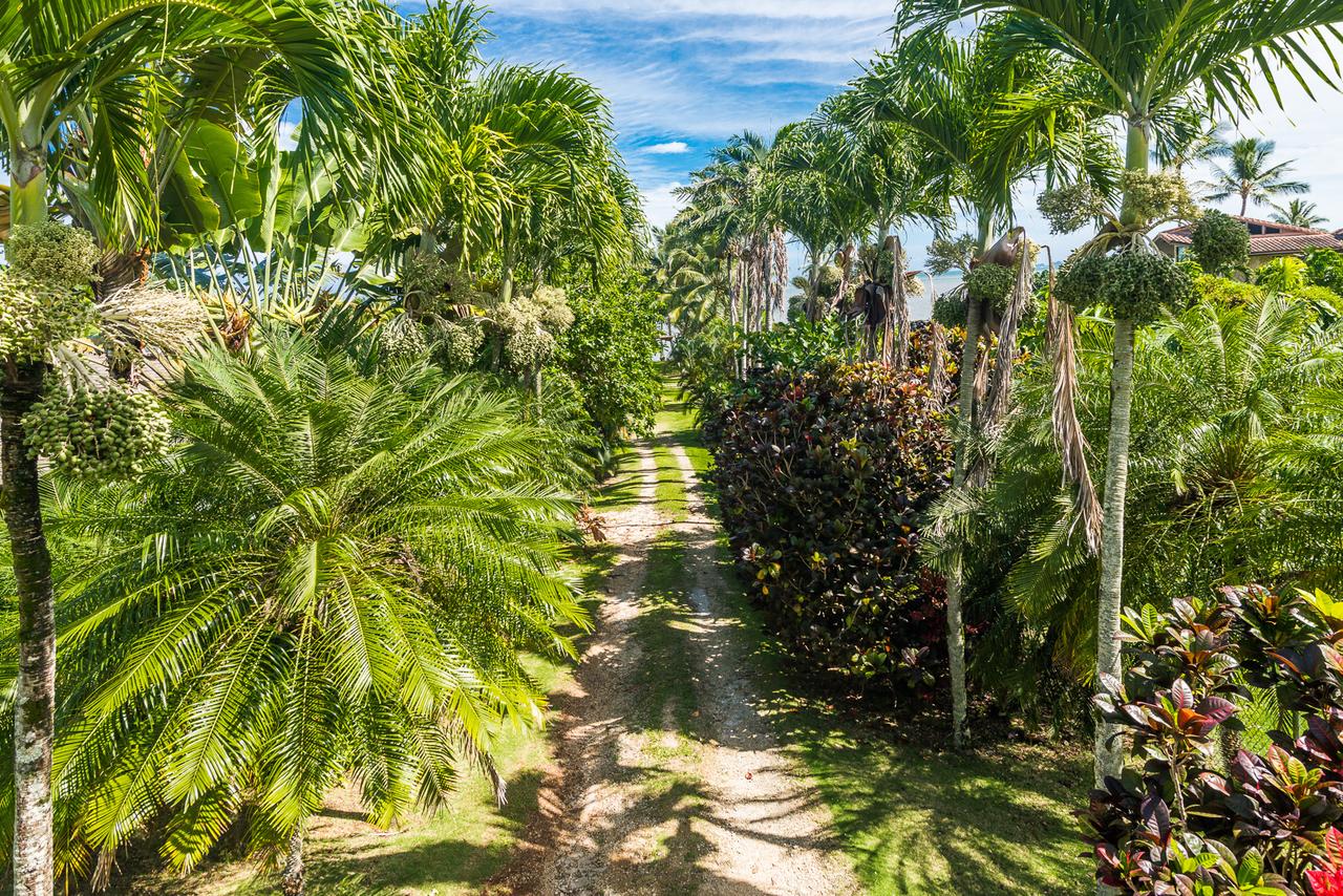 Waikane Shores Retreat - thumb 25