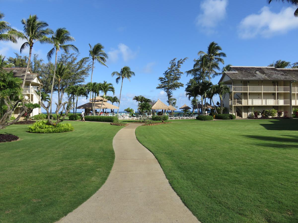 Islander On The Beach #318 - thumb 22