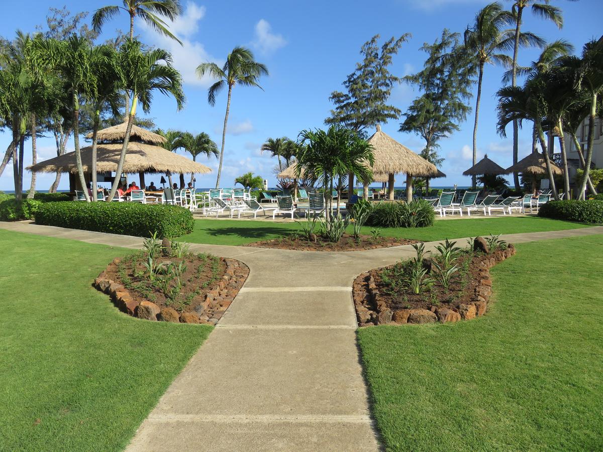 Islander On The Beach #318 - thumb 16